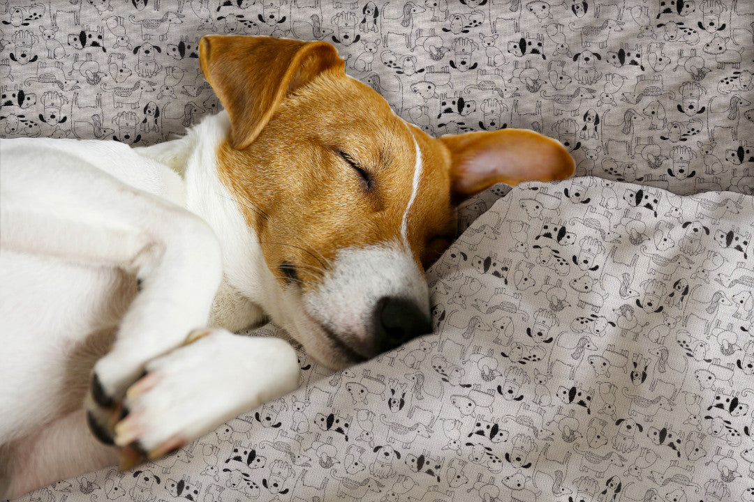 Cani Divertenti e Carini - Textilvaxduk med söta och roliga hundar, hund