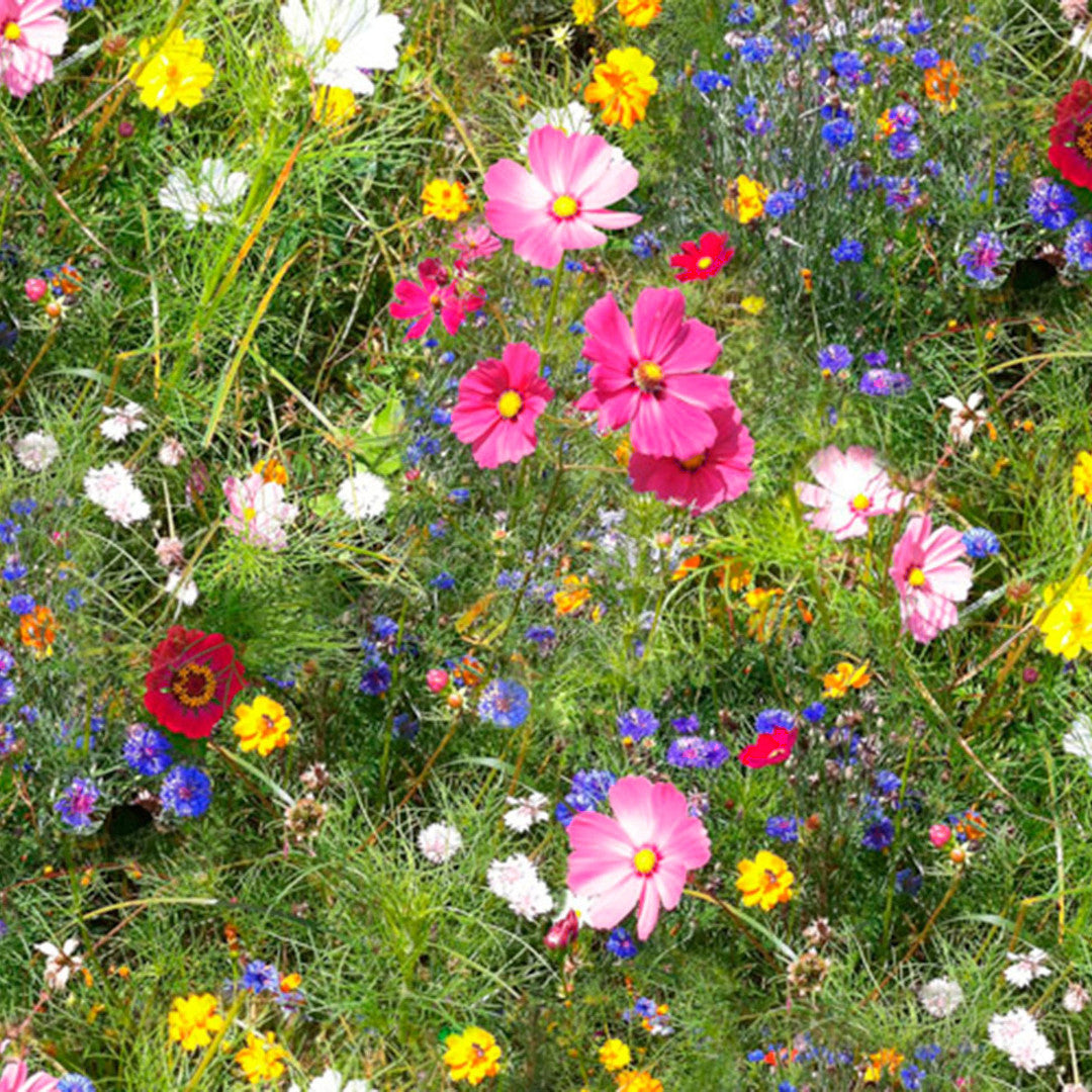 Vilda blommor - Upprullad vaxduk med färgglada blommor