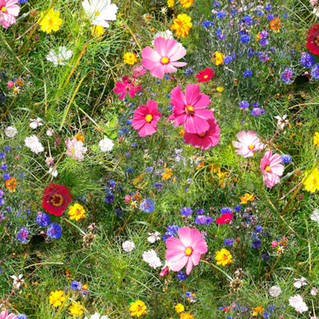 Vilda blommor - Upprullad vaxduk med färgglada blommor