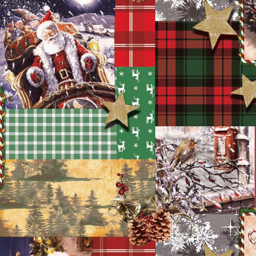 Kära Tomten – Julduk med tomten på väg mot jul. Närbild, fågel. rödabär, kottar, snö