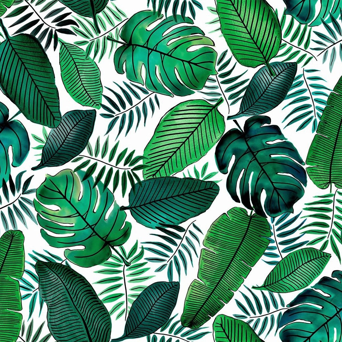 Närbiild av Java, vaxduk med snygga gröna blad