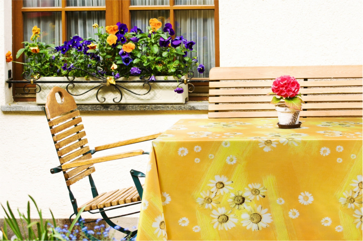 Miljöbild med Margueritter i solsken, vaxduk med sommarstämning.