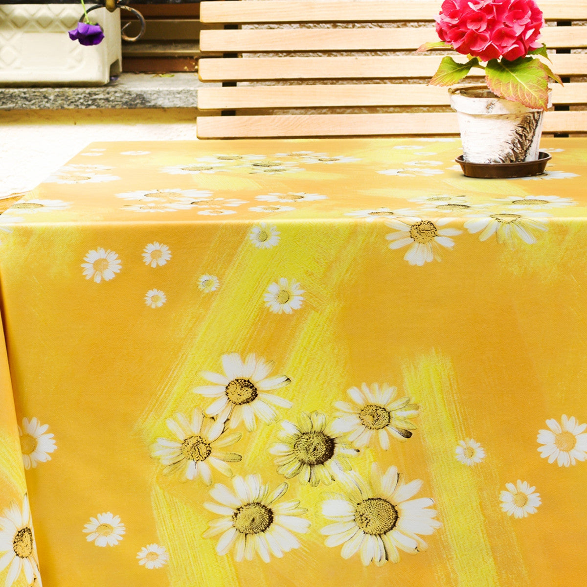 Margueritter i solsken, vaxduk med sommarstämning på bordet