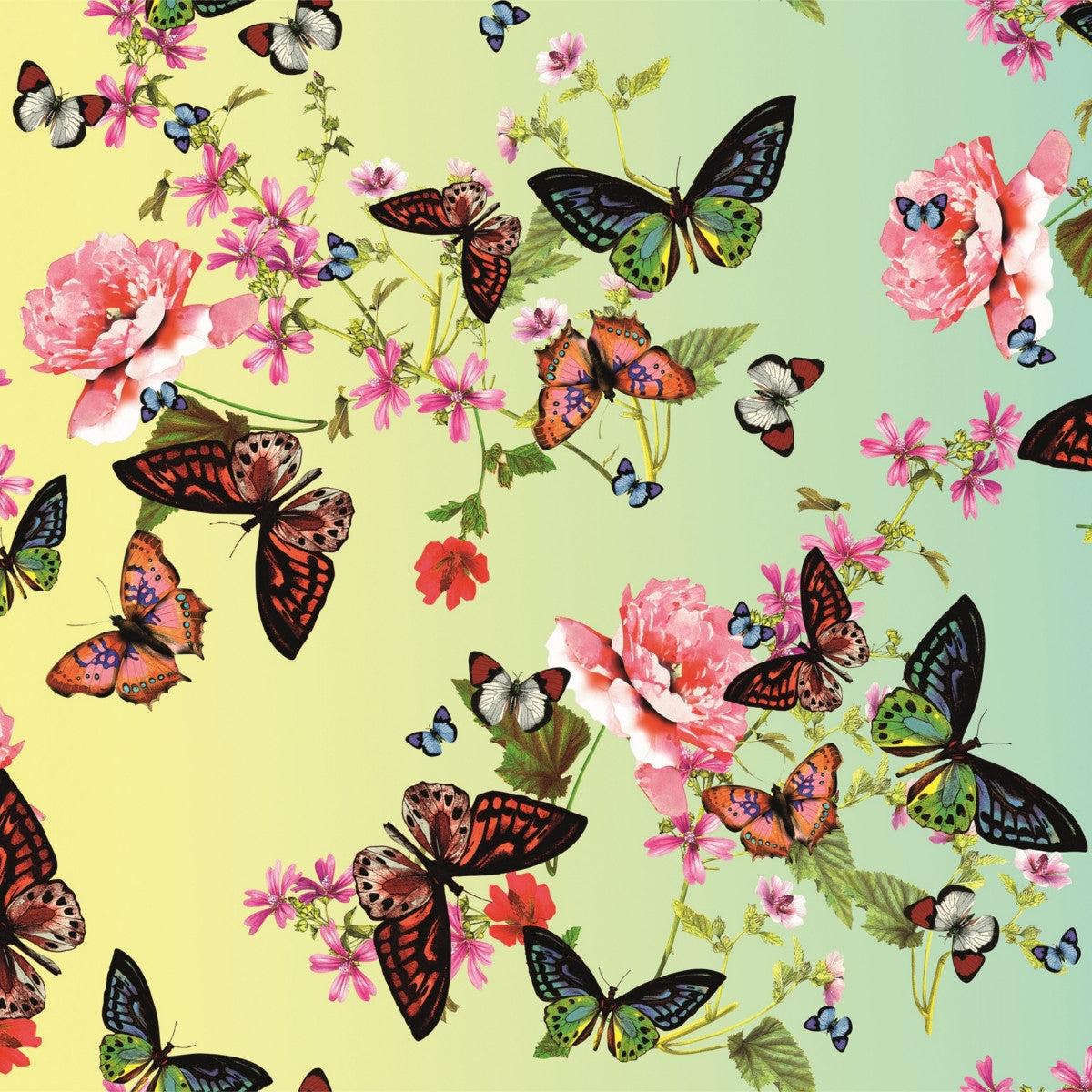 Närbild av Aimee, vaxduk med massor av fjärilar och blommor