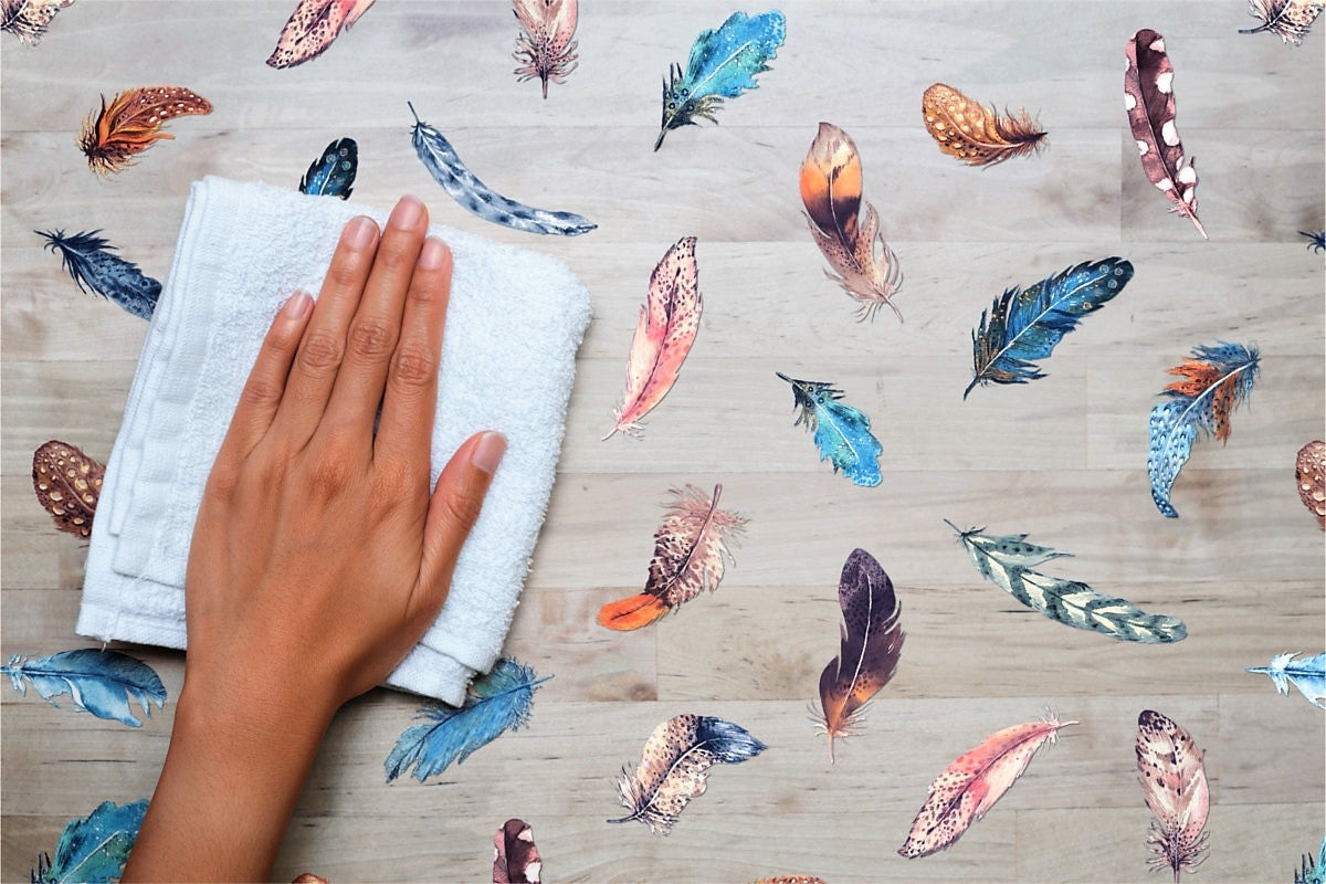 Finja, transparent vaxduk, bordsduk av genomskinlig plast med färgglada fjädrar