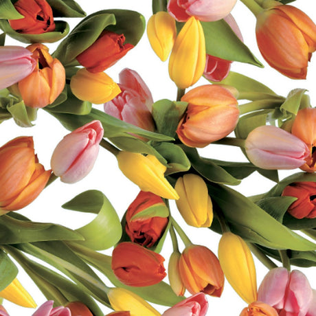 Tulipan Multicolor - Vaxduk med tulpaner i fina färger