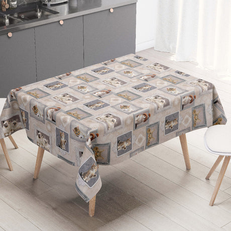 Kattungalleri – beige vaxduk med kattungar i ramar miljö