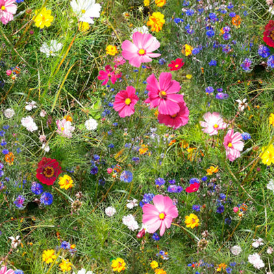 Vilda blommor - Upprullad vaxduk med färgglada blommor