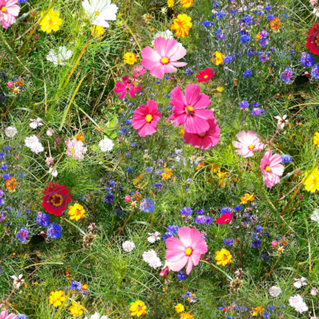Vilda blommor - Upprullad vaxduk med färgglada blommor