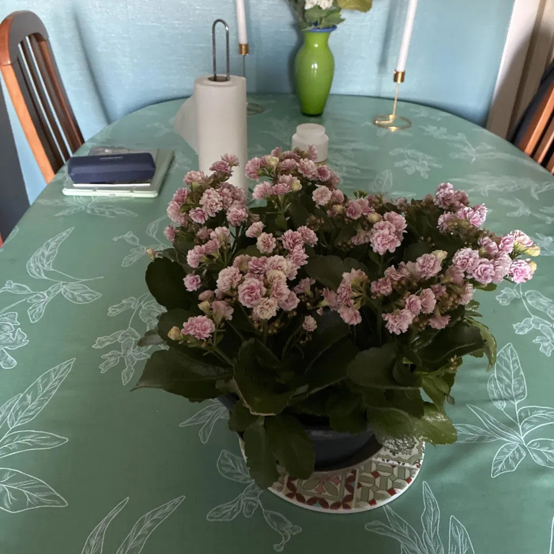Mesina Green - Vaxduk i linne-look med vitrandiga blad